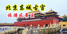 内射日韩黄色日逼逼视频中国北京-东城古宫旅游风景区